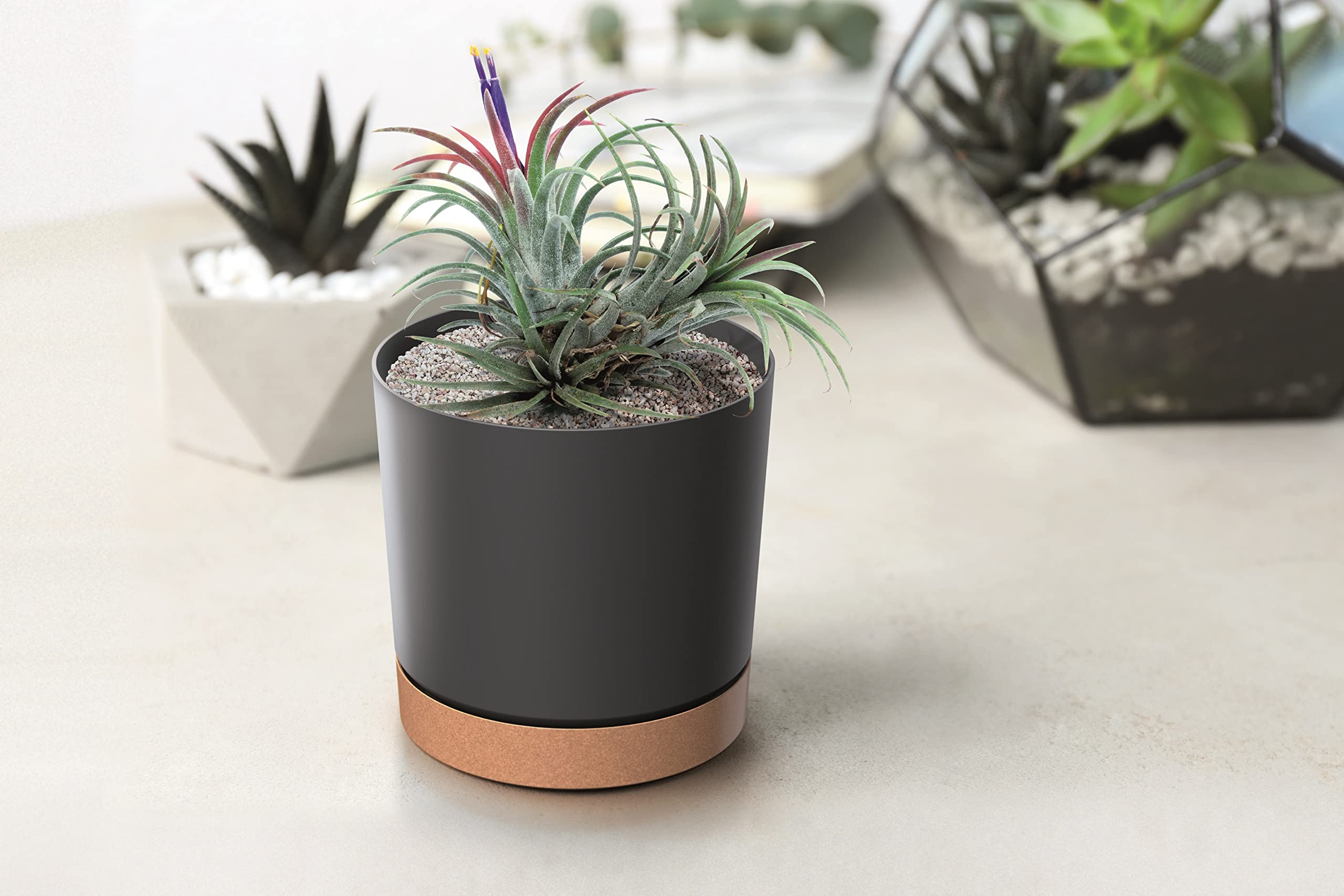 Tymar Pot de Fleur avec Soucoupe, Lot de 2 Pots de Plantes décoratifs en Plastique, Forme Ronde Moderne pour l'intérieur (ø 40 cm, (2pack) LI Vert)