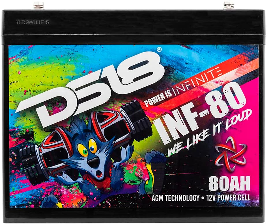 DS18 INF-80AH 2300 Watts AGM Power Cell 12 Volt Battery M6 Bolt Terminal Maintenance Free - High Performance for Car Audio, Motorsports, Motorcycle, Jet Ski, ATV & UTV