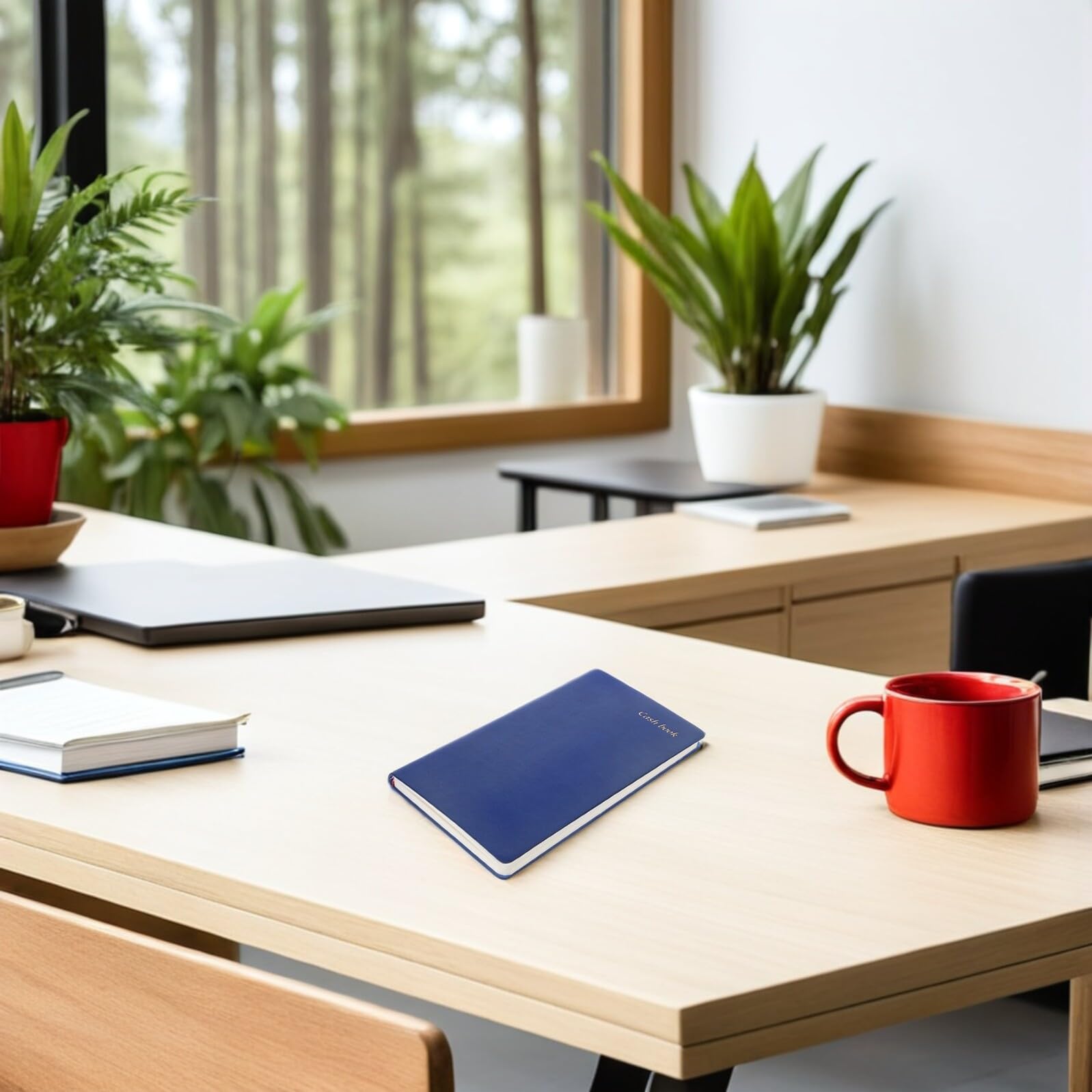 Hemobllo Quaderno per Pianificatore Finanziario A6 Blu 10 Pezzi Organizer Budget Giornaliero Compatto Libretto di Bilancio Portatile per Monitoraggio Spese Familiari e Uso Domestico