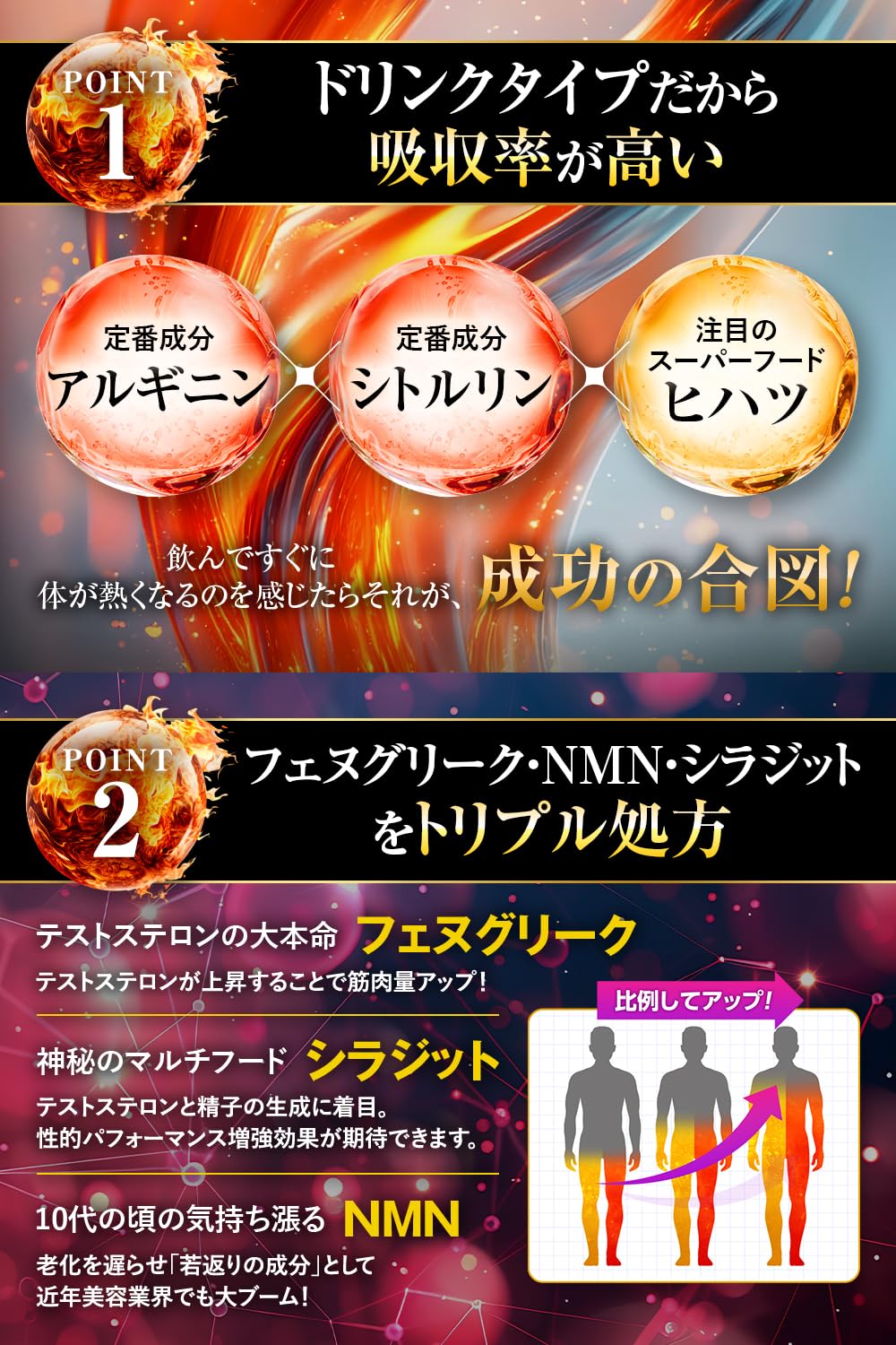 MACARISE MAGMA DRINK 10本入り×5箱（50本） ビタルネスシリーズ 商品一覧