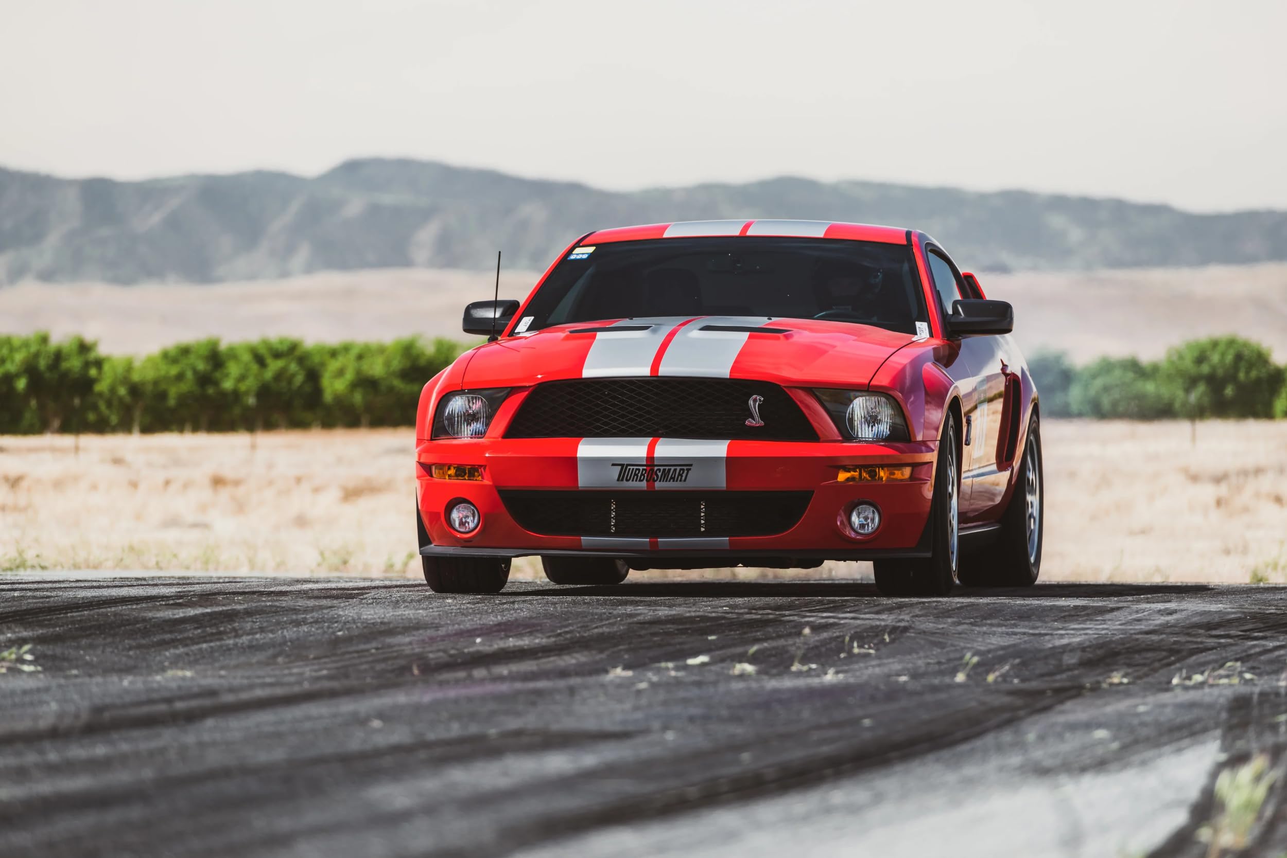 Amazon | Pedders 05-14 フォード マスタング (GT 500 マウント