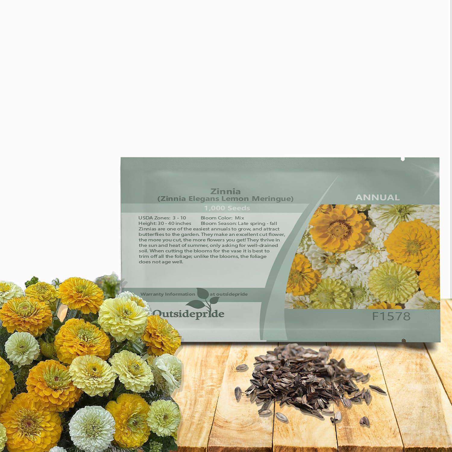 Lemon Meringue Zinnia Seeds - 1000 Pieces Annual, Heat & Drought Tolerant Flower Seeds for Planting w/Vibrant Blooms for Pollinator Gardens & Floral Arrangements