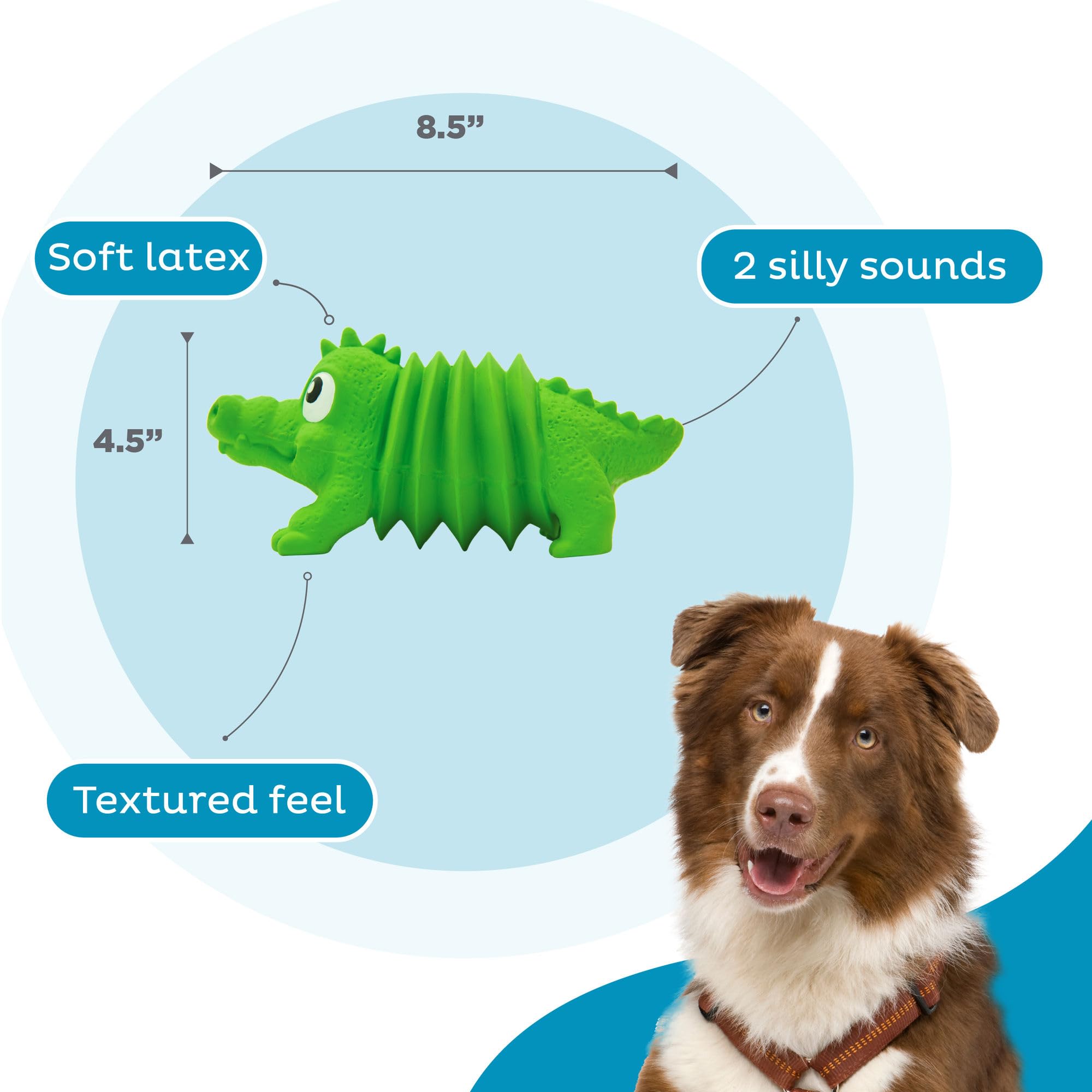 Pet Supplies : Outward Hound Accordionz Grunting Latex Gator Dog