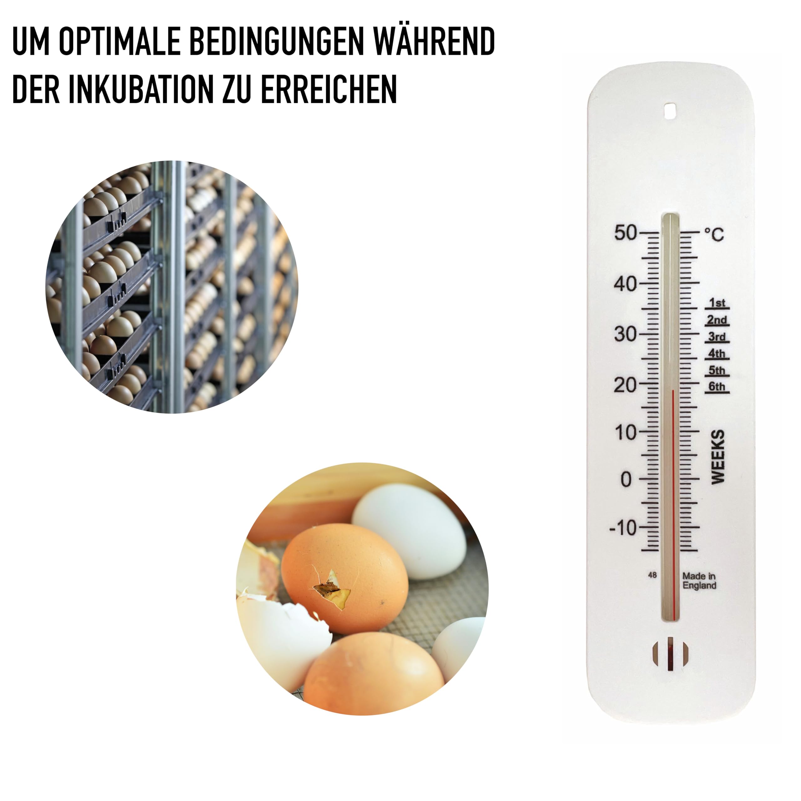 Inkubator Eierthermometer Brutgert Dnger Ei Geflgel Hhner Kken  Schlpfen Brutgut : Amazon.de: Gewerbe, Industrie & Wissenschaft