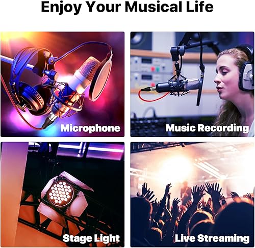 Miniatura 62 de EBXYA Cable XLR de 1.5 pies, paquete de 6 unidades, cable de micrófono equilibrado premium con cable XLR de 3 pines macho a hembra, color negro