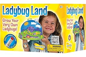 Insect Lore Ladybug Growing Kit Toy -unisex-children Original Ladybug Land
