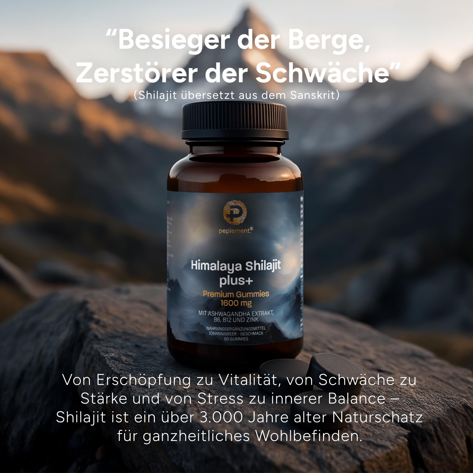 Himalaya Shilajit Plus+ Premium Gummies — 1600 mg | 60 Stück (Mumijo) Shilajit Gummi mit natürlicher Huminsäure, Fulvinsäure und Mineralstoffen, mit Ashwagandha Extrakt, B6, B12 und Zink