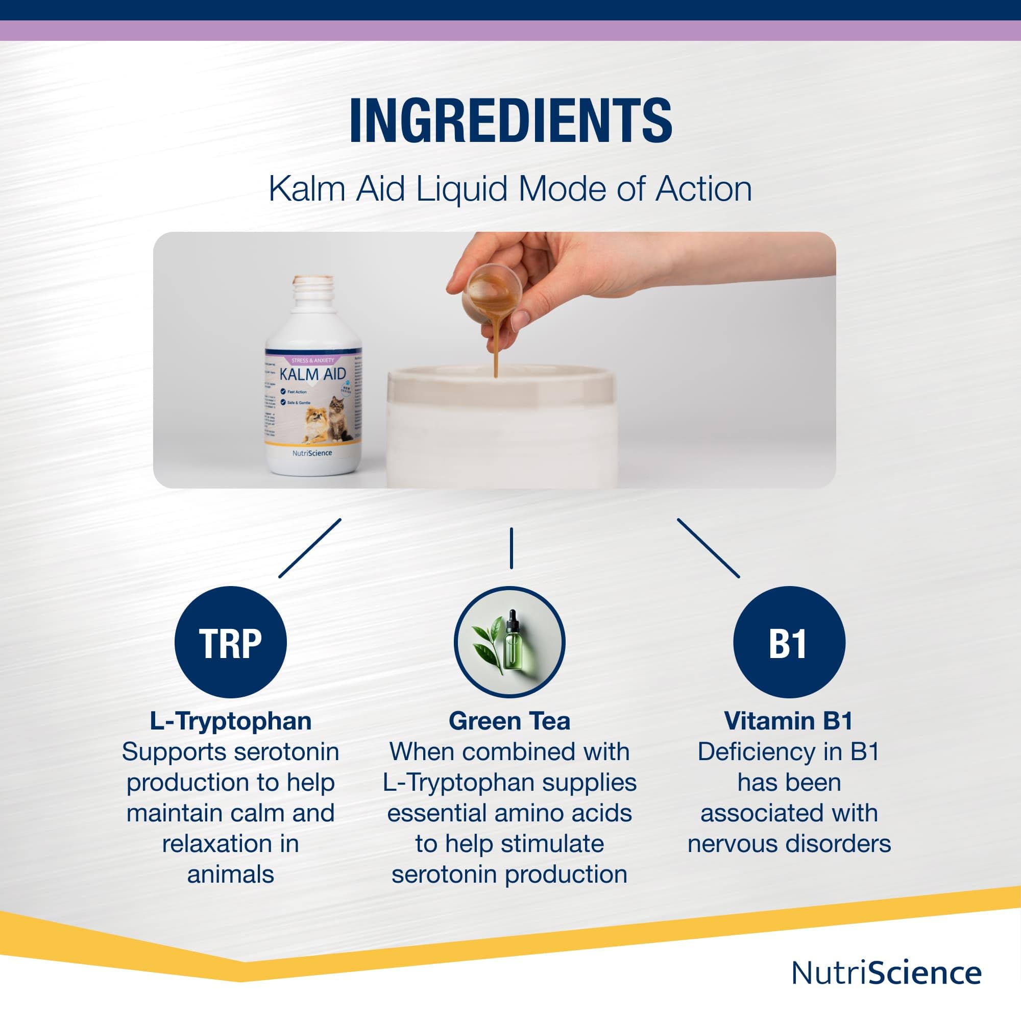 NutriScience KalmAid płynny suplement 250 ml dla psów i kotów