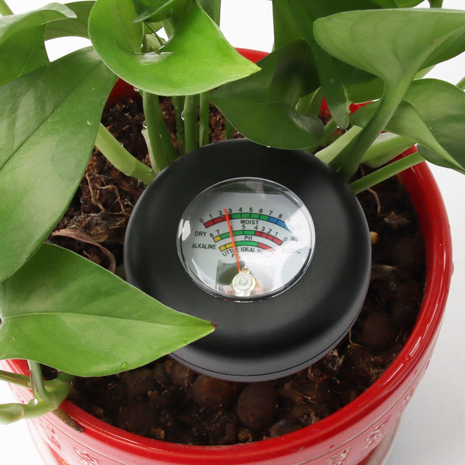 Tester Del Suolo 6 In 1 - Misura Umidità, PH, Fertilità, Luce E Temperatura - Foto 4