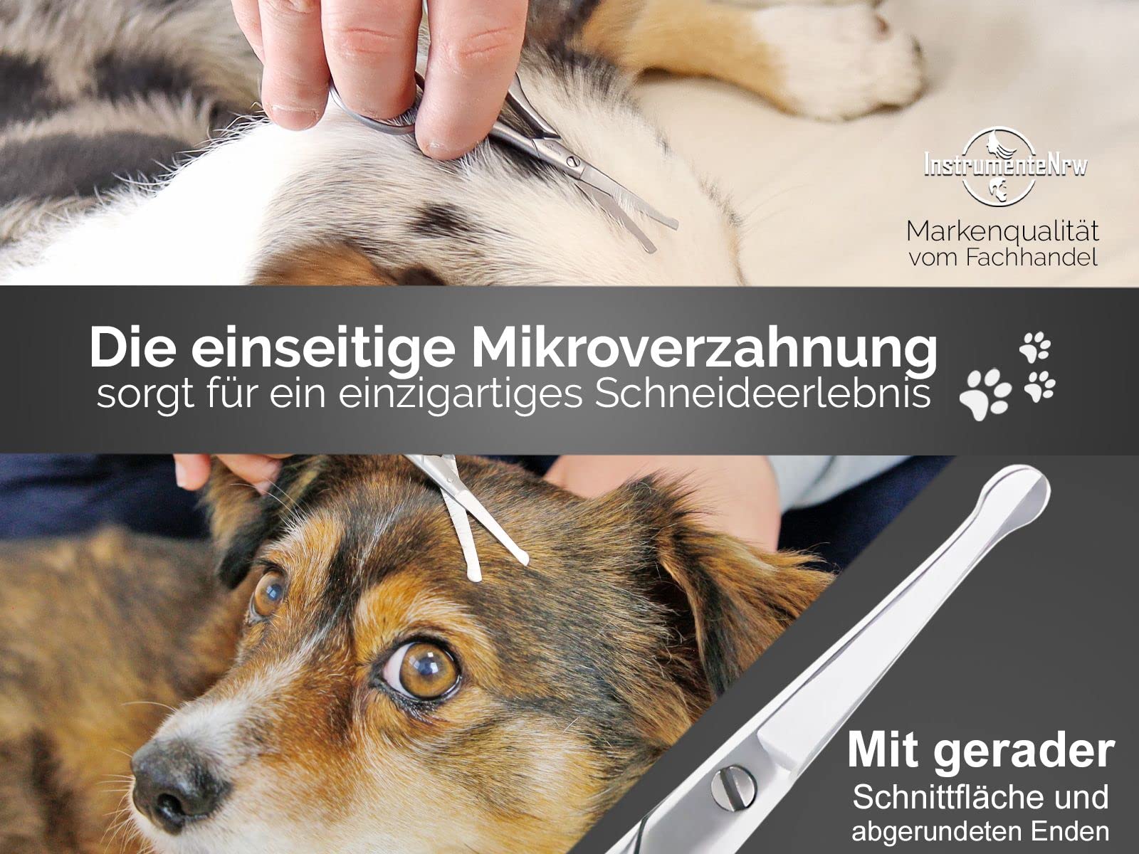 Fellschere Pfotenschere aus Solingen Kleine Hundeschere mit einseitiger Mikroverzahnung Hunde Haarschere aus Rostfreiem Edelstahl mit Scharfer Abgerundeter Schnittfläche für eine perfekte Fellpflege