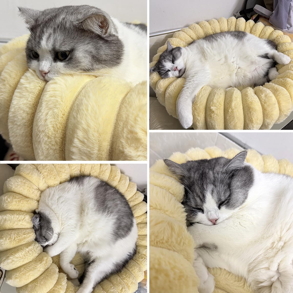 80cm/31.5in Panier Chien/Chat Donut,Lit Ronde en Forme de Beignet,Canapé | Lits pour Animaux Lavable,Coussin Chien Orthopedique,Base antidérapante,Tissu Peluche Doux,Kaki