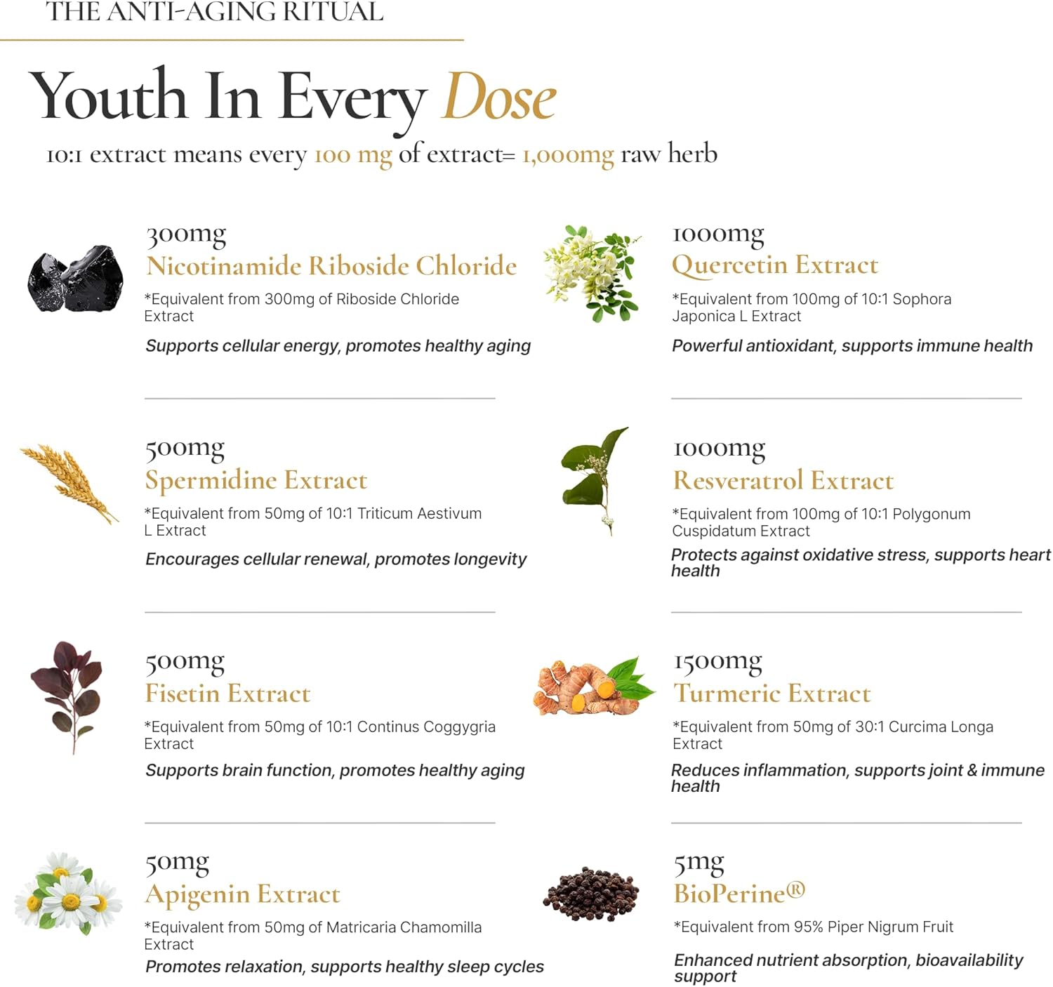 Timeless - NAD+ Supplement with BioPerine® for Enhanced Absorption - Supports Anti-Aging, Longevity, Cellular Energy – Nicotinamide Riboside, Spermidine, Resveratrol & More (60 Capsules)