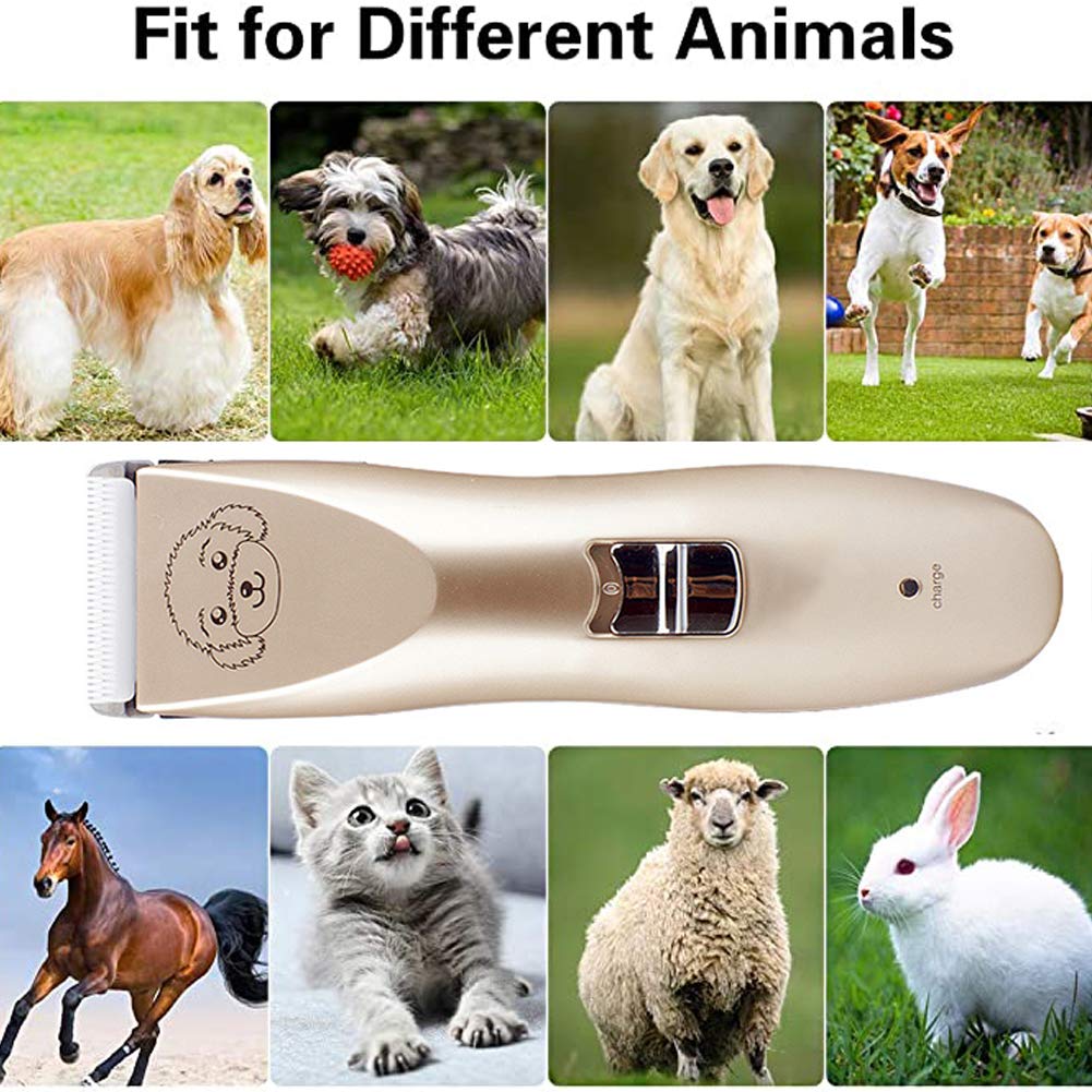 Dog Clippers Dog Grooming Kit, Ricaricabile A Basso Rumore Tranquillo Elettrico Pet Rasoio, Professionista Del Cane Tosatrici Clippers Cordless Con Pettine Guide, Forbici, Pettine, Kit Per Unghie
