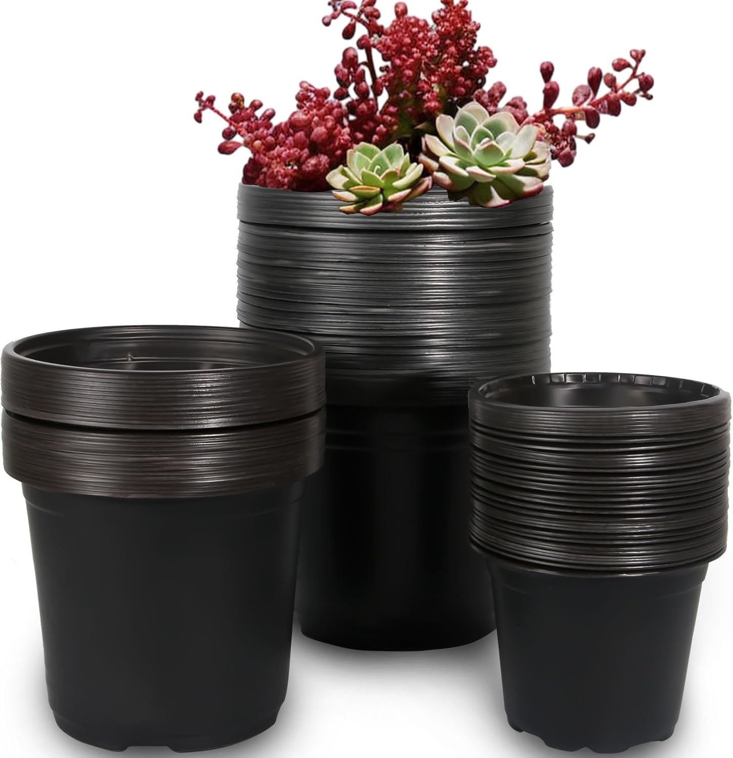 100 Packs 6 Inch Nursery Pots, 4 5 6 Inches Plastic Nursery Pots for Plants with Drainage Holes, Seed Starting Garden Pots of Flower Plant Container for Succulents, Transplanting (100, 6 Inch)