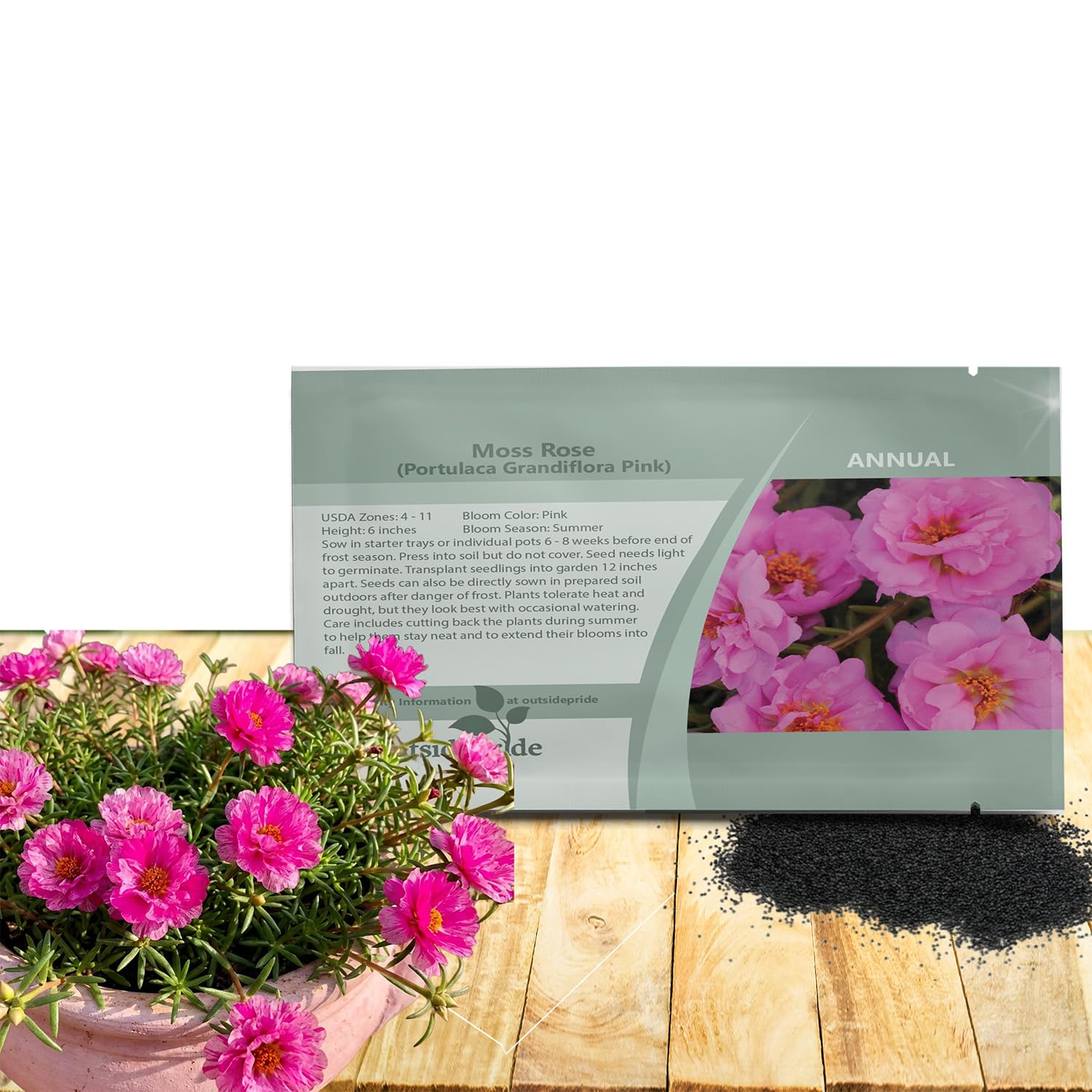 Amazon.com : Outsidepride Pink Moss Rose Seeds - 10000 Pcs Annual