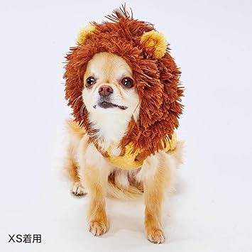 Amazon ペティオ Petio 犬用ウェア変身パーカー Awv ライオン ミニチュアダックスs ペティオ Petio コスチューム 通販
