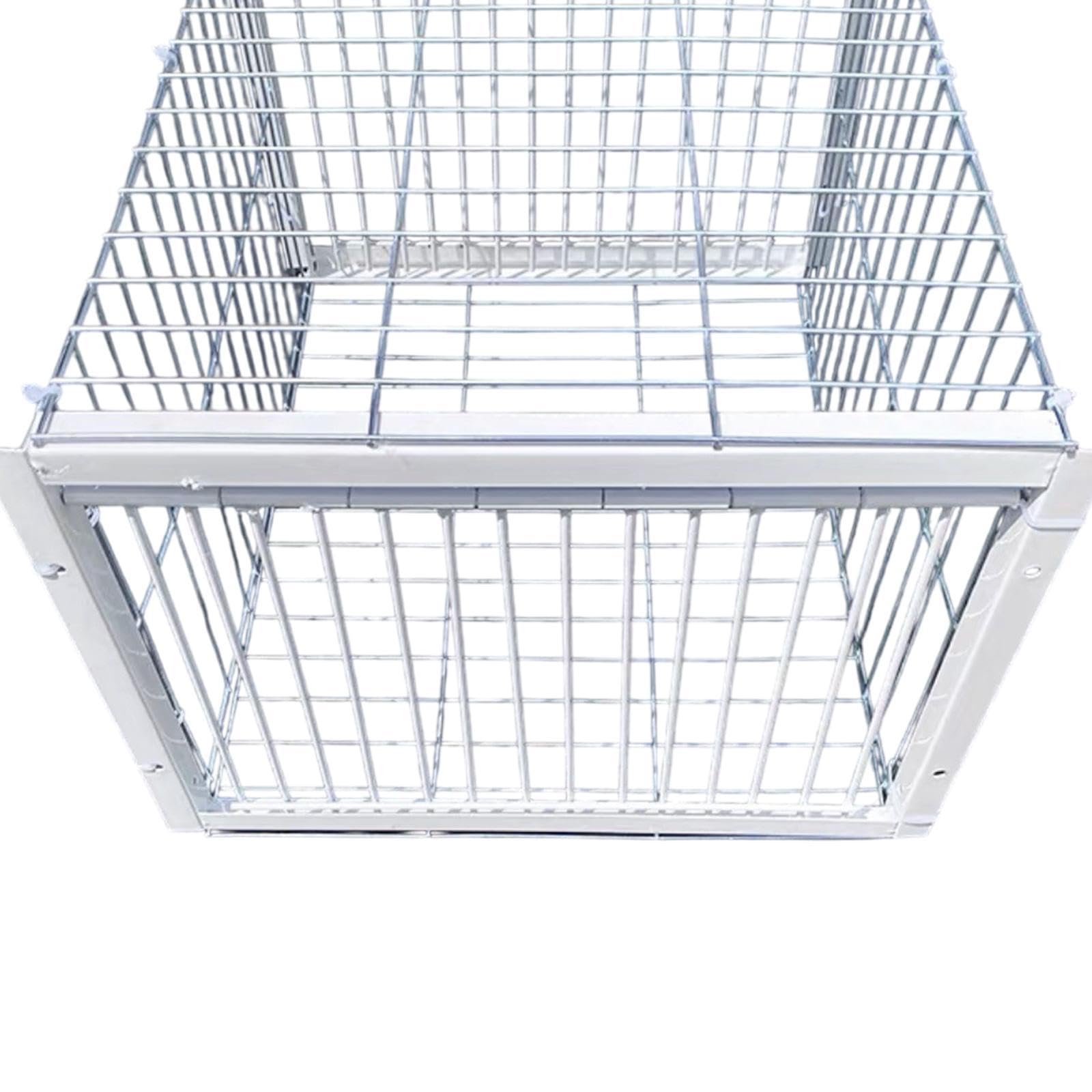 Jaula para Palomas, Soldadura Metálica Impermeable, Atrapapalomas Automático, Animales para Gorriones en Tejados, Entrada de 2 vías