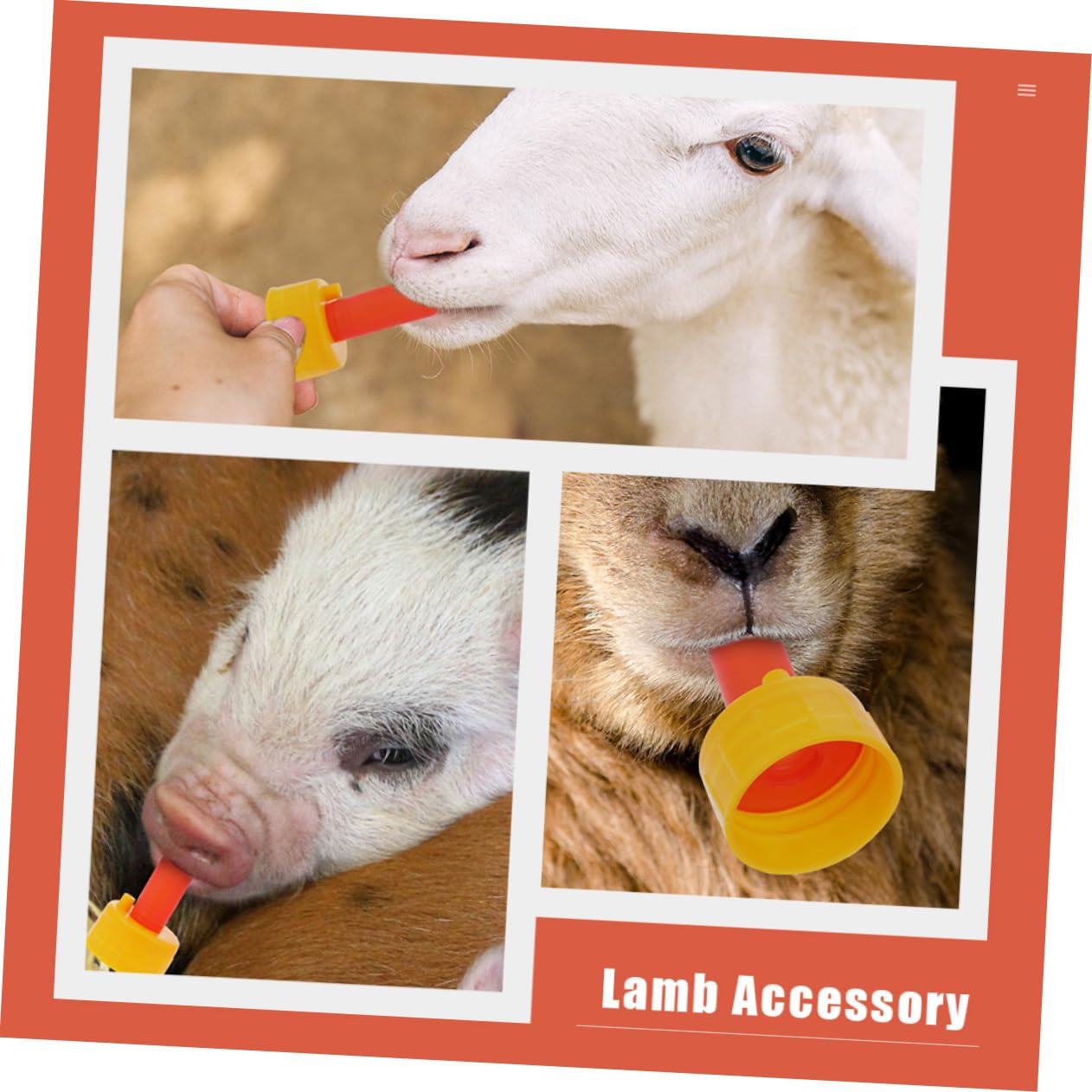 NULYLU 5Pcs Professional Lamb Nipples for Convenient Bottle Feeding Replaceable Sheep Nipples Essential Accessory for Caring for Young Animals
