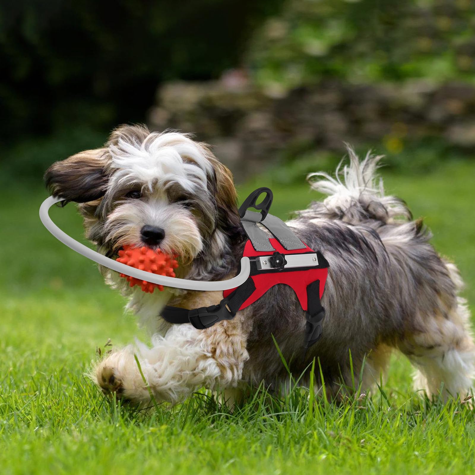 Veemoon Collier Anti-Collision Réglable pour Chien Aveugle, Anneau de Protection Léger en Polyester Rouge Taille S, Dispositif de Navigation pour Éviter Les Collisions, Accessoire Santé
