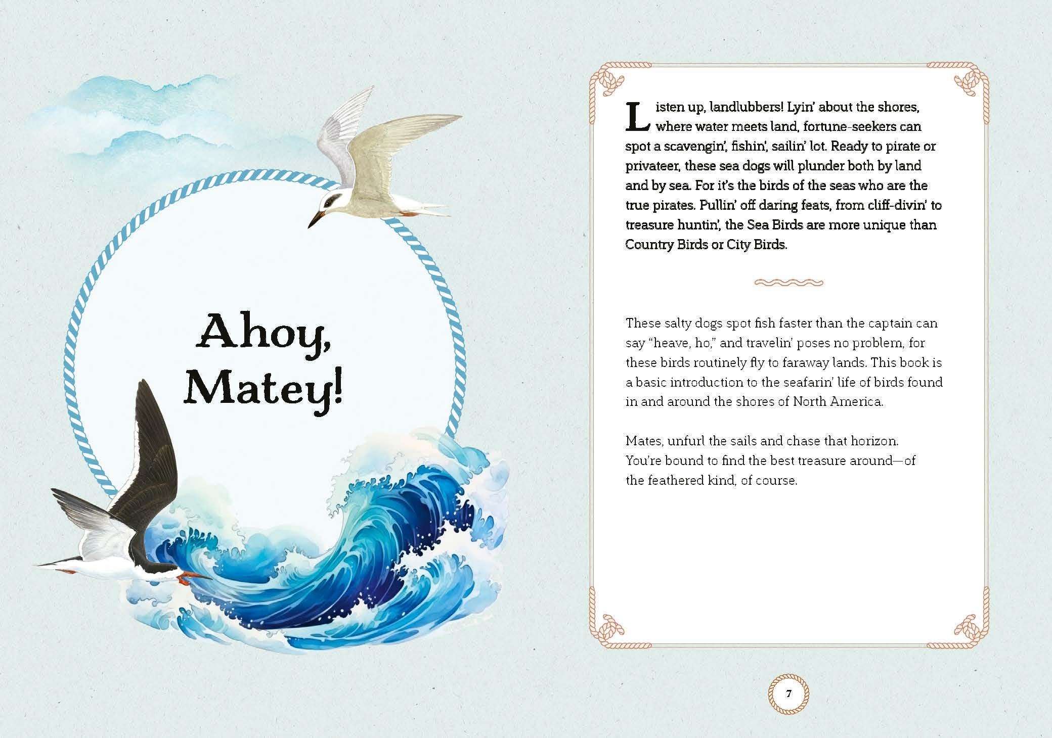 Sea Bird: Explore the Charming Oceanside Song of Our Shoreline Feathered Friends - Image 3