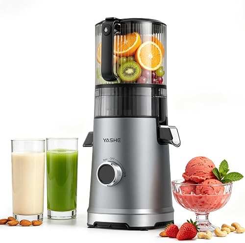 Extracteur de Jus à Froid 600W YASHE