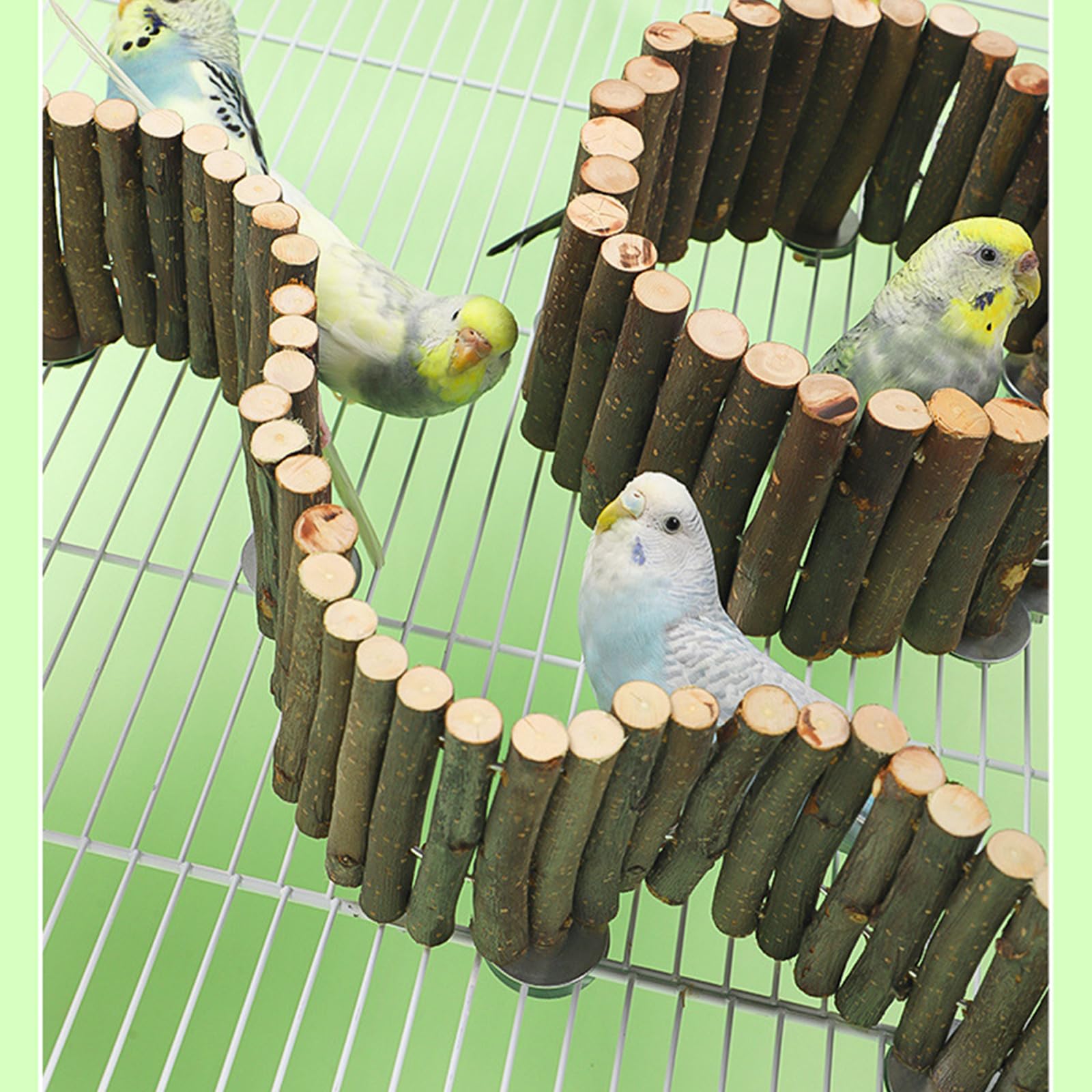 2PCS Papagei Leiter Spielzeug Vogelkäfig Holz Stehende Brücke Vogel Schleifen Playstand Spielzeug Holz Übung Stand Vogel Leiter für Vogelkäfig