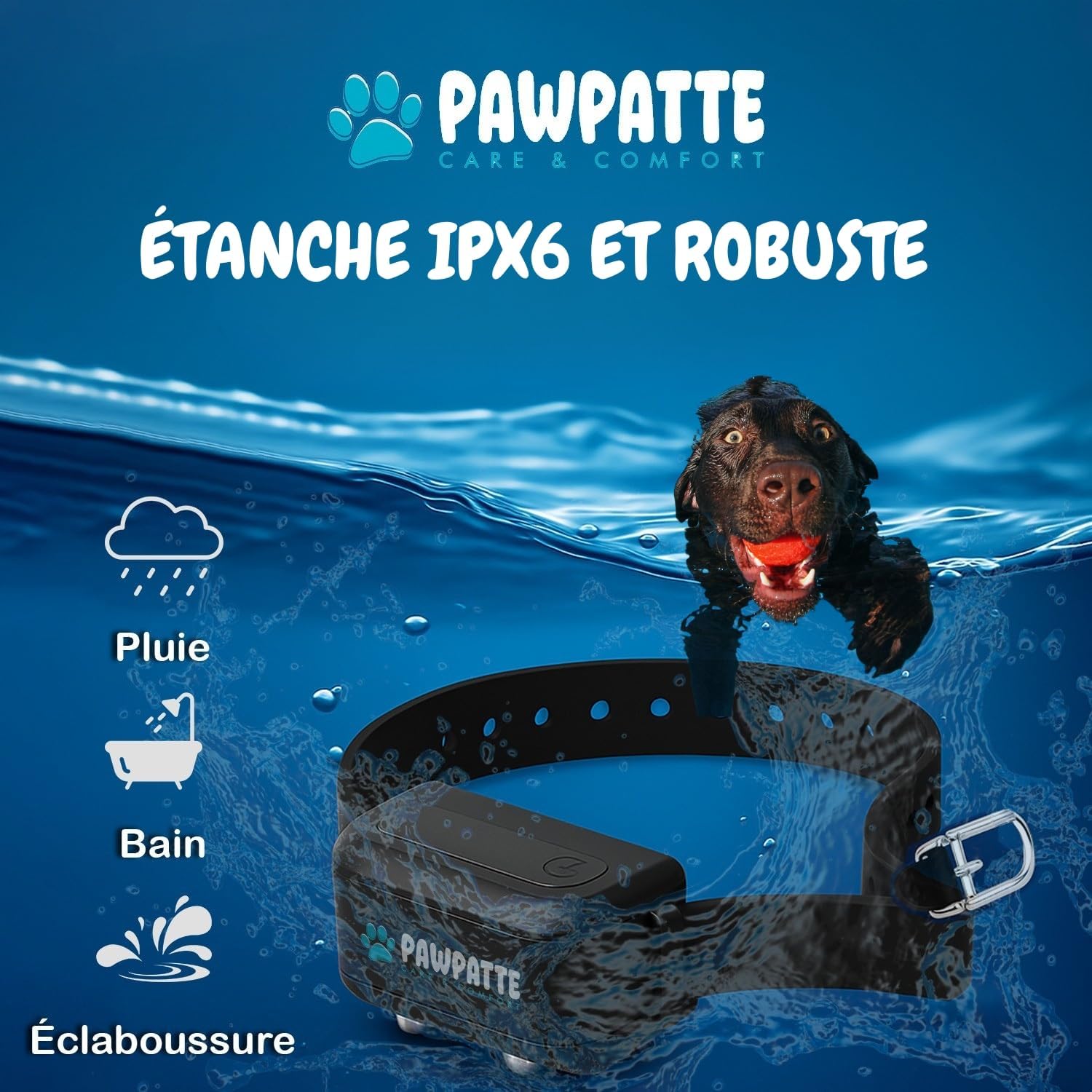 Collier PAWPATTE en usage extérieur