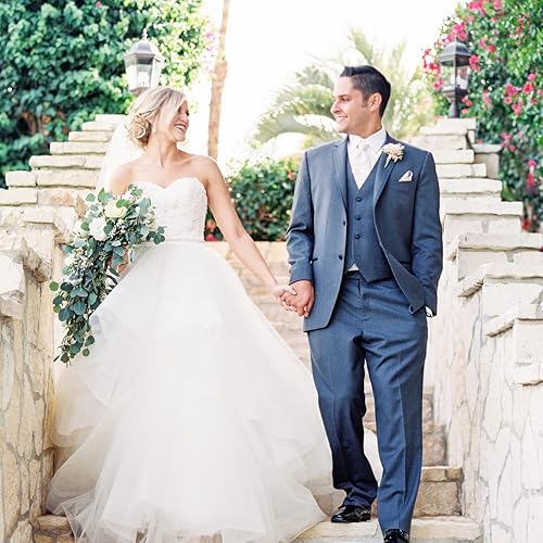 Miniatura 4 de Tallos de eucalipto preservados secos, 7-10 hojas de dólar de plata natural real, ramas de plantas de eucalipto frescas reales de 5 a 17 pulgadas