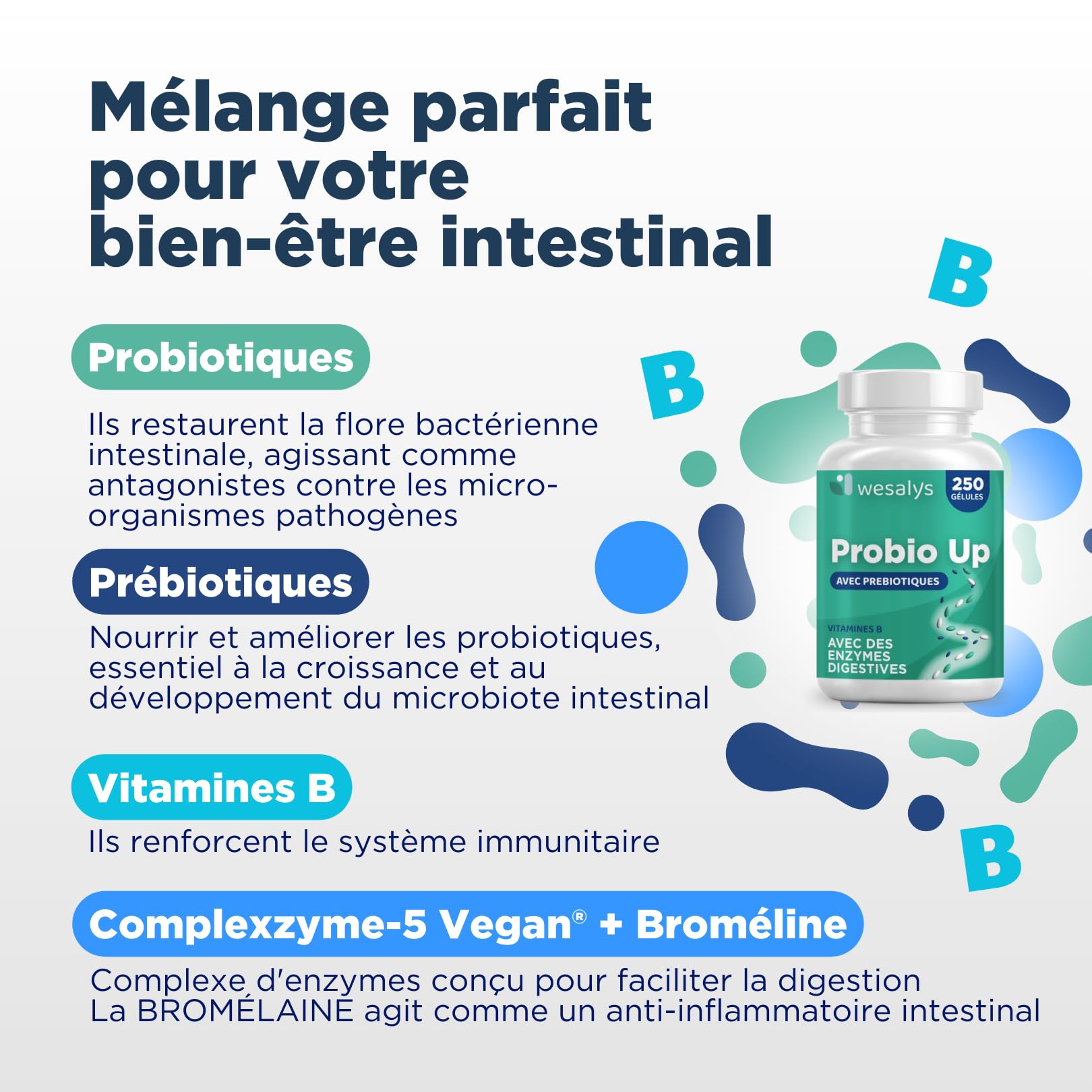 Probiotique flore intestinale - 250 gélules - 20 souches bactériennes, Probiotiques et prebiotique, lactobacillus gasseri, Bifidobactéries, Enzymes digestives, Inuline, FOS, 20 milliards UFC