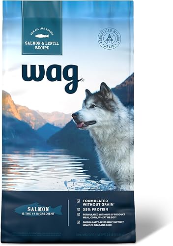 Tienda Brand - Wag Dry - Comida para perros con receta de salmón y lentejas, 24 libras (paquete de 1)