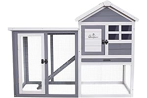 Rabbit Hutch, The Ultimate Chicken Coop Sanctuary