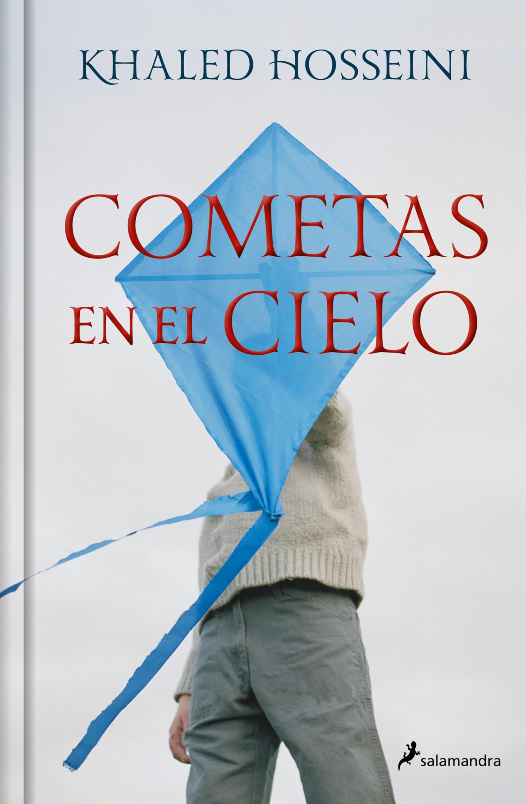 Livre Cometas en el cielo Spanish Edition roman en espagnol