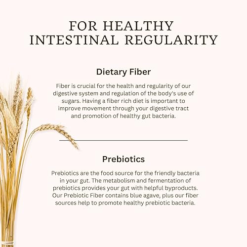 Miniatura 6 de VTC VitaTradingCo. Polvo de combustible de fibra prebiótica  Suplemento de fibra orgánica a base de plantas  Salud intestinal y digestiva  Omega-3