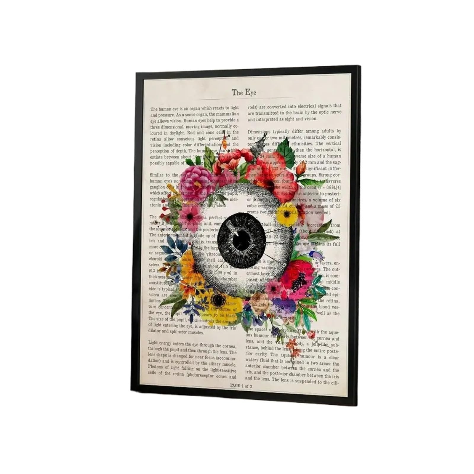 1 Szt. Kwiat Narządów Anatomia Plakat Naklejka Samoprzylepna Do Pokoju Zabaw Sypialnia Przedpokój Dekoracje Ścienne Domu Prezent(White5,50X70cmNoframe)