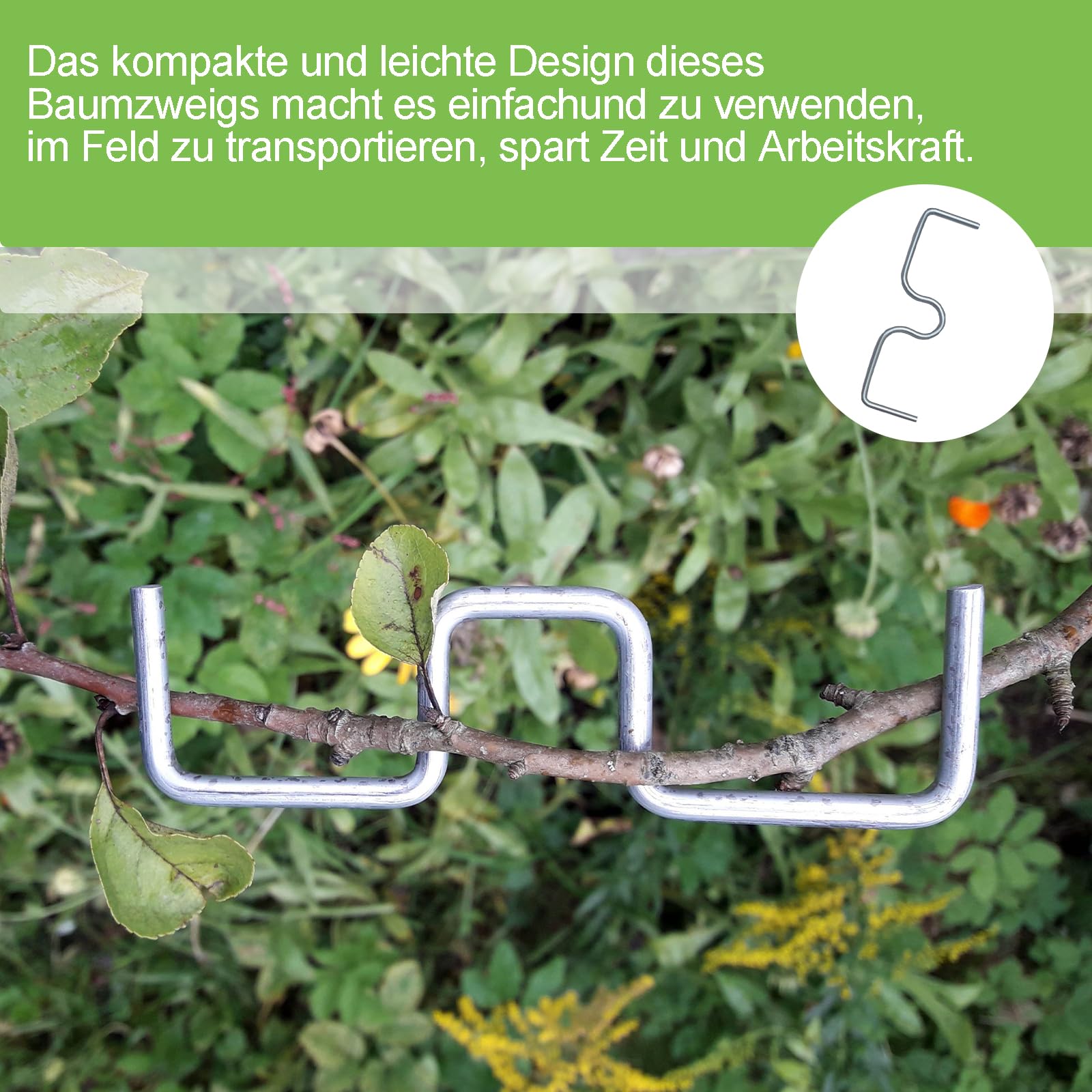 30 Estrattori Per Rami Da Frutto A Forma Di M – 13 Cm, Diametro 3,8 Mm, Riutilizzabili Per Bonsai E Piante