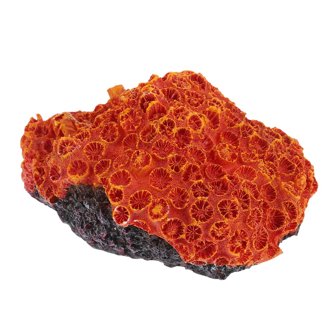 Balacoo Aquarium Decoration Coral Reef for Fish Tank - Brown Resin Modern Contemporary Marine Life Sculpture