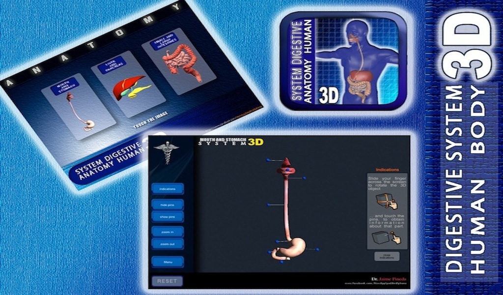 Digestive System - App on Amazon Appstore