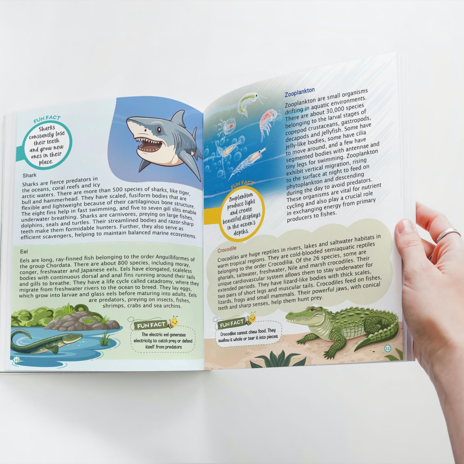 Kids Encyclopedia (Illustrated) - Nature - Knowledge Book for Kids - Age 6+ - Animals, Birds, Plants - Crustaceans - Leopard - Zooplankton - Flamingo - Seagull - Pelican - Tulip - Bamboo - Groundnut 1