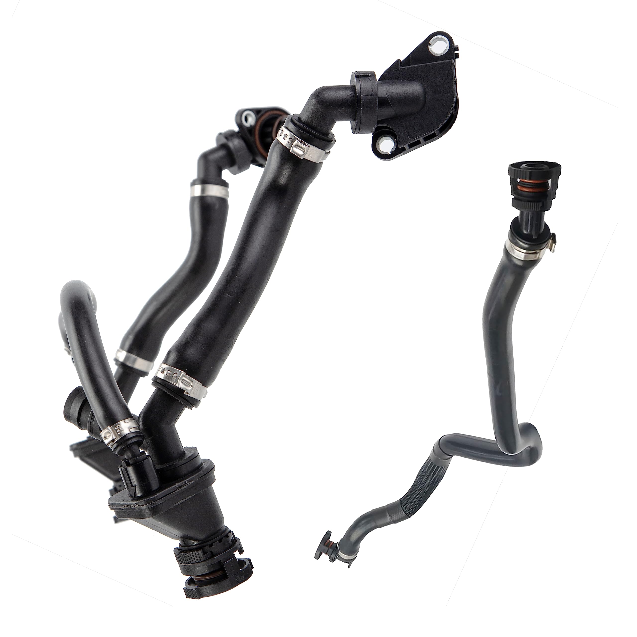 WACKO MARIA DORMEUIL レインボーラメ （TYPE-2）