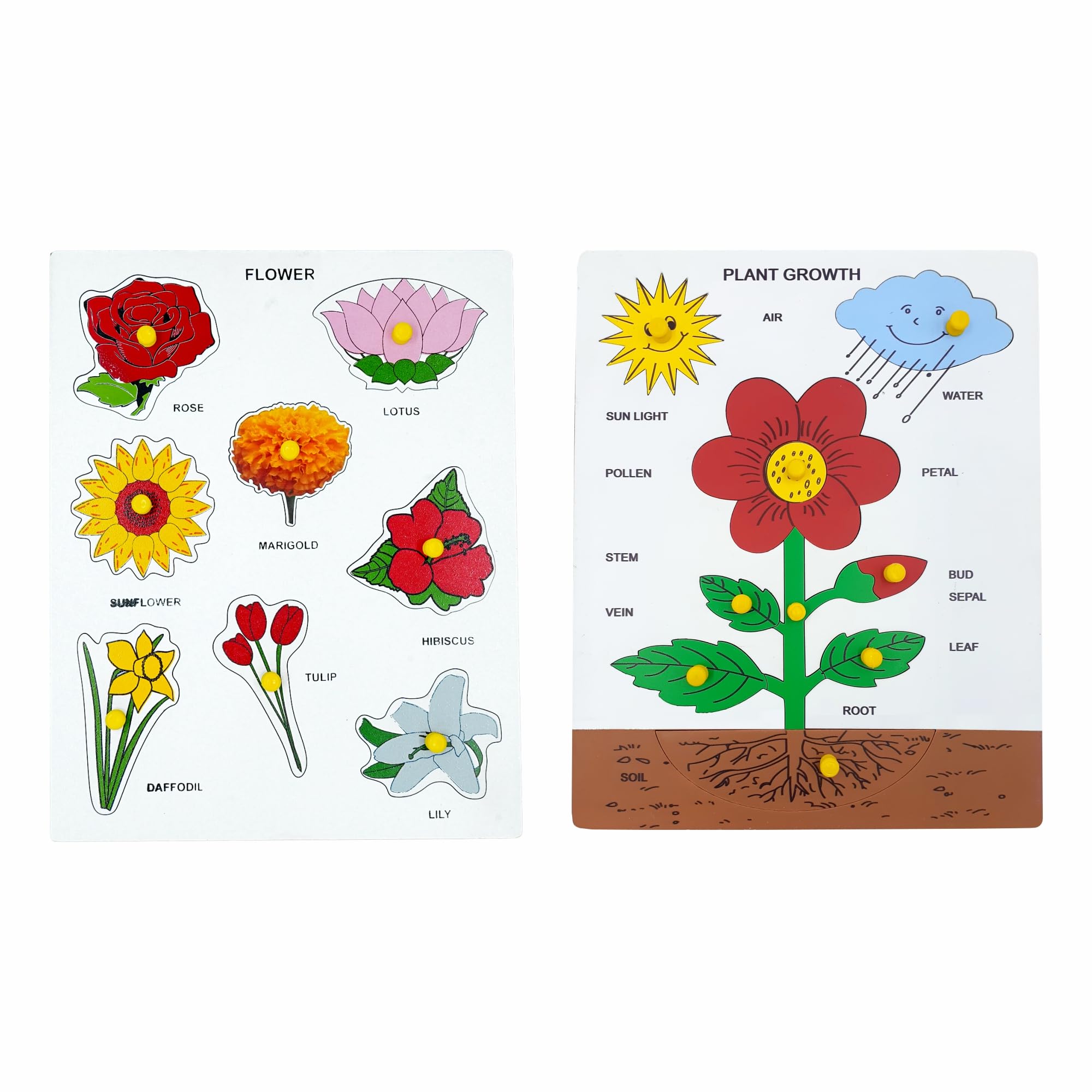 Flowerさま　ご確認用 Buy Tantrums Educational Wooden Flower Puzzle, Plant Growth