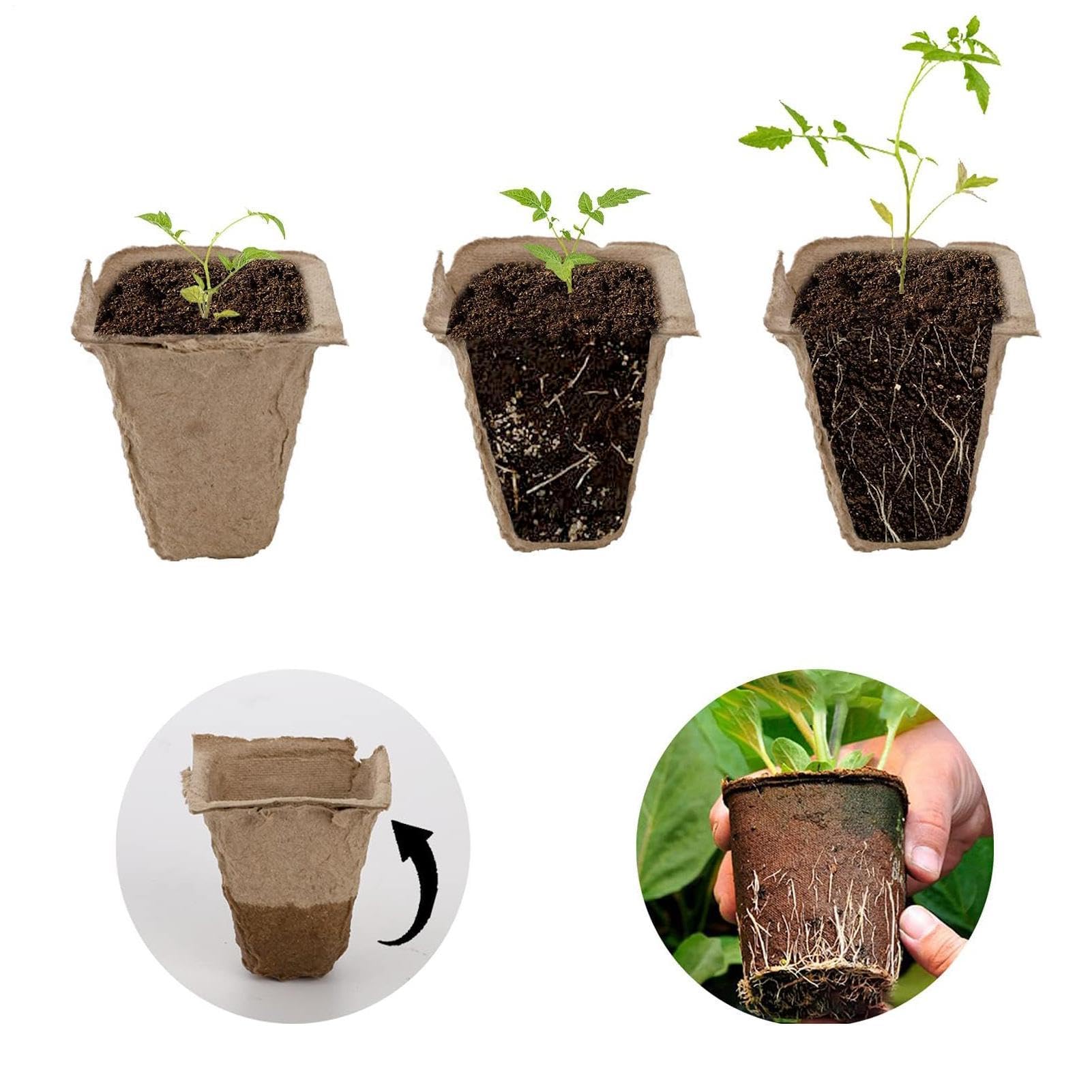 Vasetti Compostabili Vassoio per la Germinazione da 40 Pezzi con le | Vasetti di Torba per la Semina Da usare in Esterno ed Interno Giardino Cortile Balcone Serra e Casa