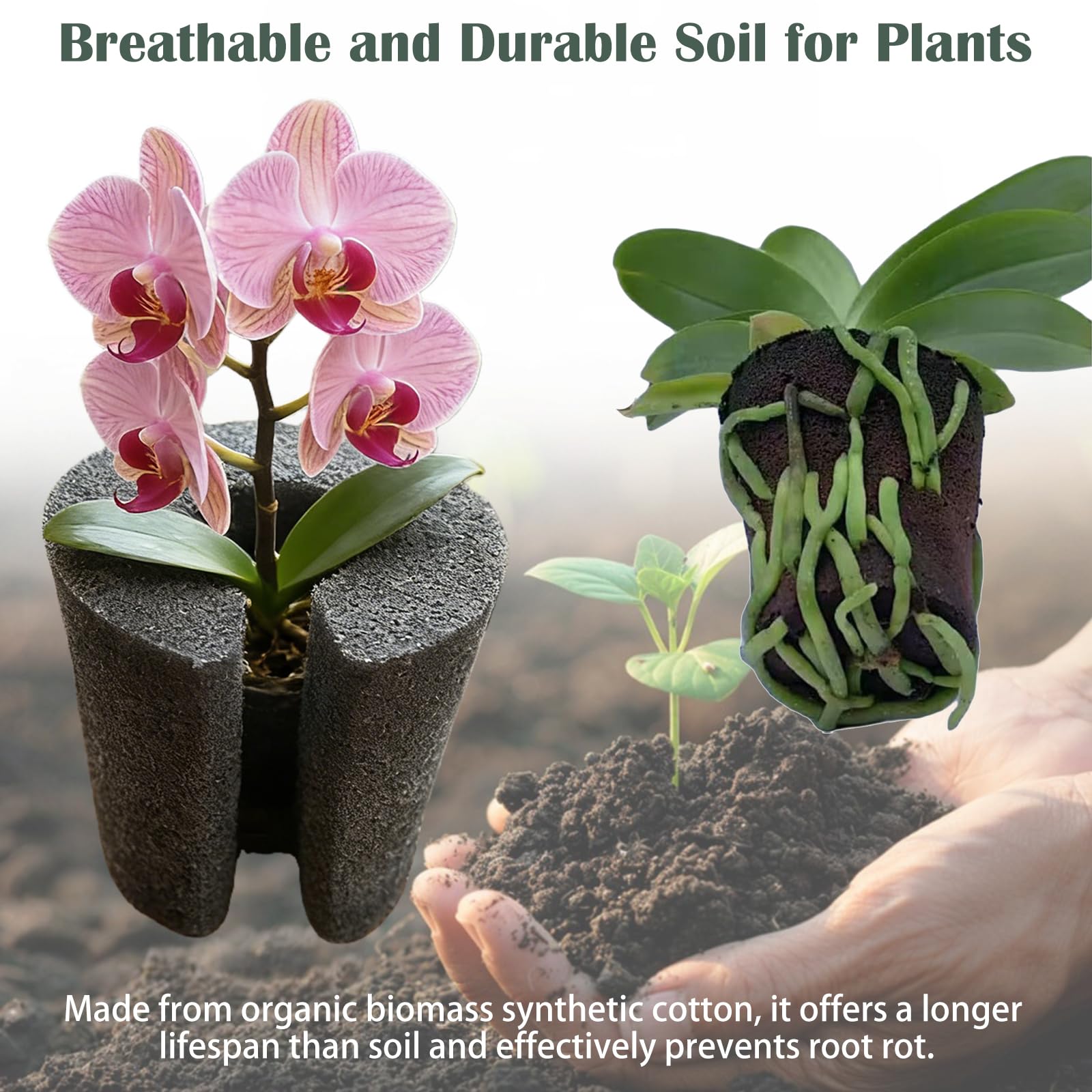 Premium Substrat pour Orchidées | Mélange Aéré et Drainant pour des Racines Saines | Idéal pour Le Rempotage des Phalaenopsis et Dendrobium (⌀9,20PCS)