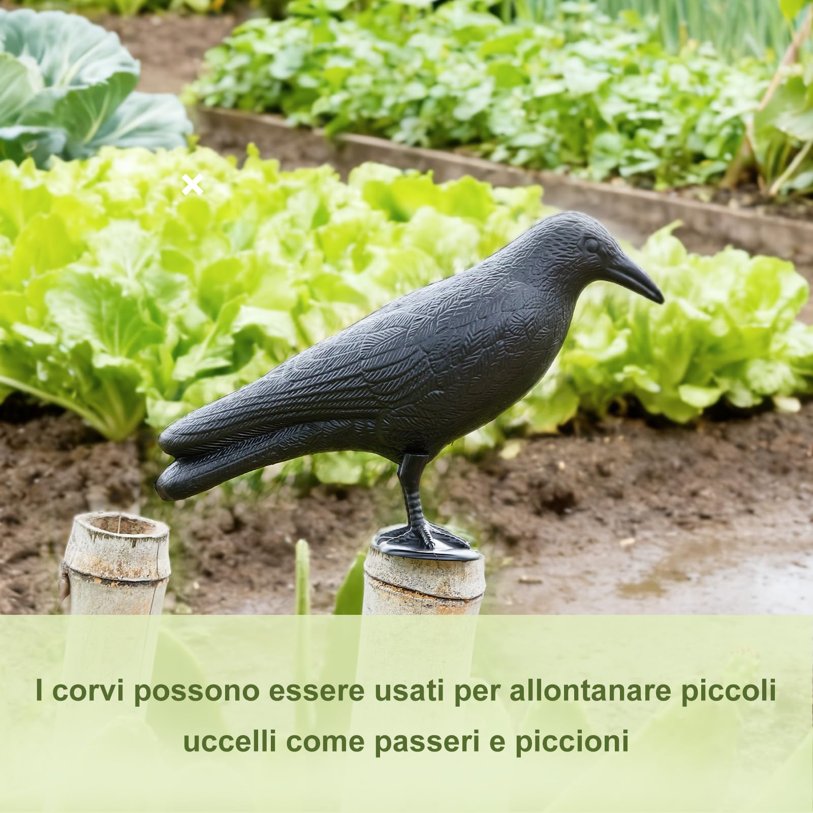 OFFO Corvo Finto Scaccia Piccioni, Dissuasore per Uccelli da Balcone e Giardino, Repellente Piccioni Efficace e Durevole in Polietilene, 3 Pezzi