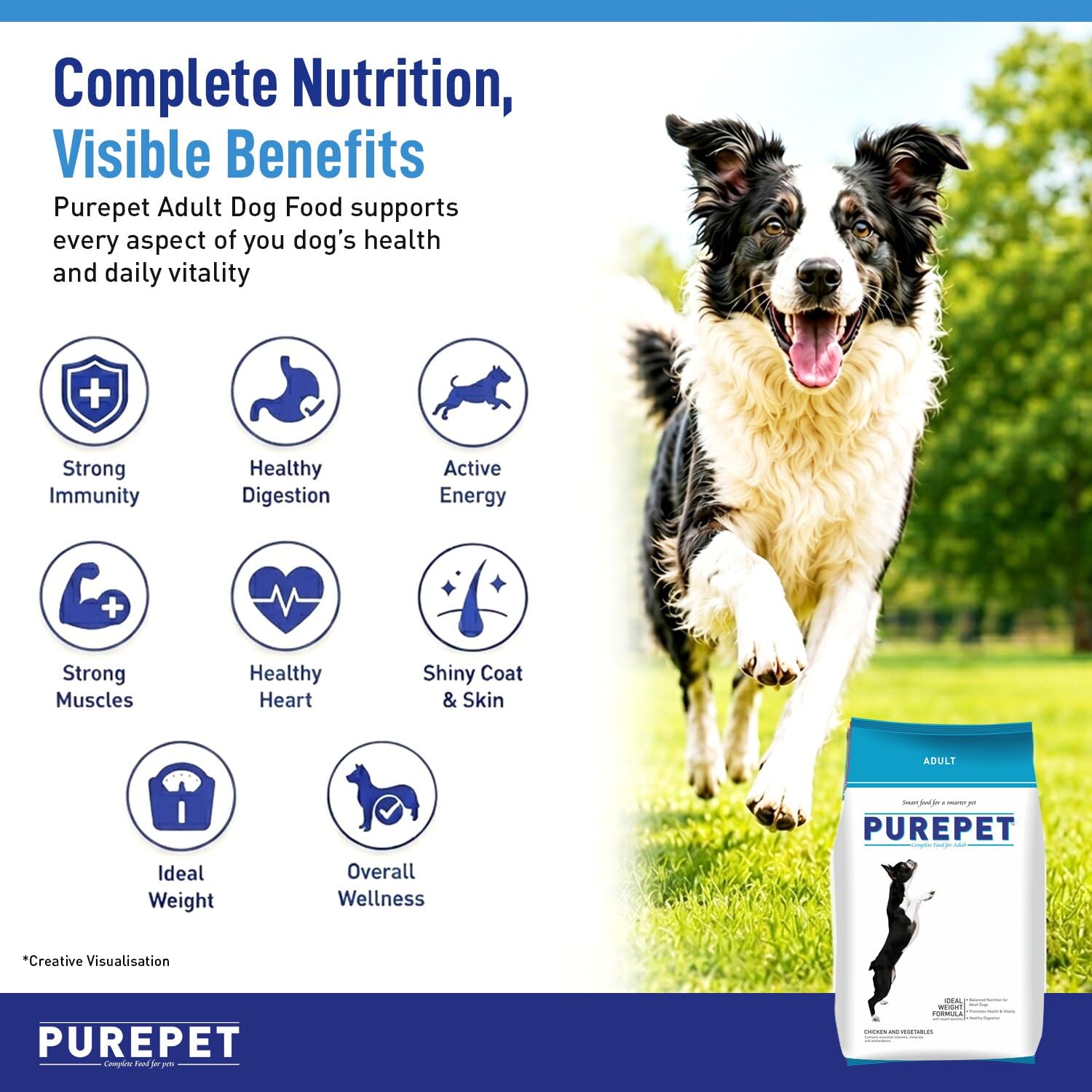 Purepet Adult Dry Dog Food 2.8kg | Chicken & Vegetable Flavour | Promotes Health & Vitality | Immune Support | Healthy Digestion | Nutrient Rich 1