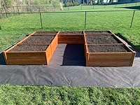 Review Image by Walter Walter