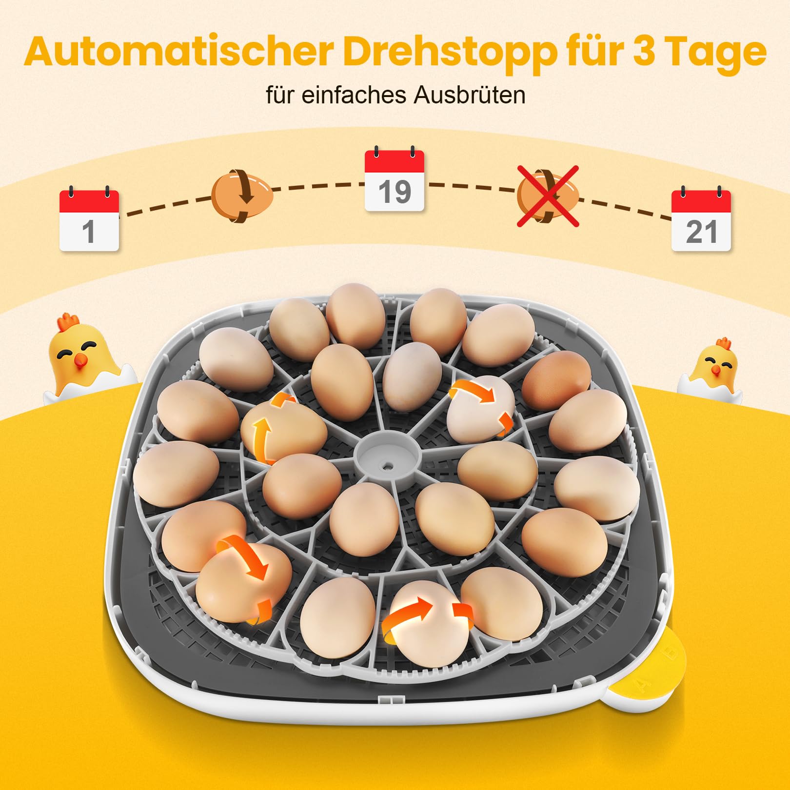 Incubadora Sailnovo para 24 Huevos con 4 Modos, Incubadora de Huevos con Volteo Automático y Monitor de Humedad, Lámpara de Huevo, Incubadora Huevos Gallina Vista 360° con Ventana Transparente, Gris