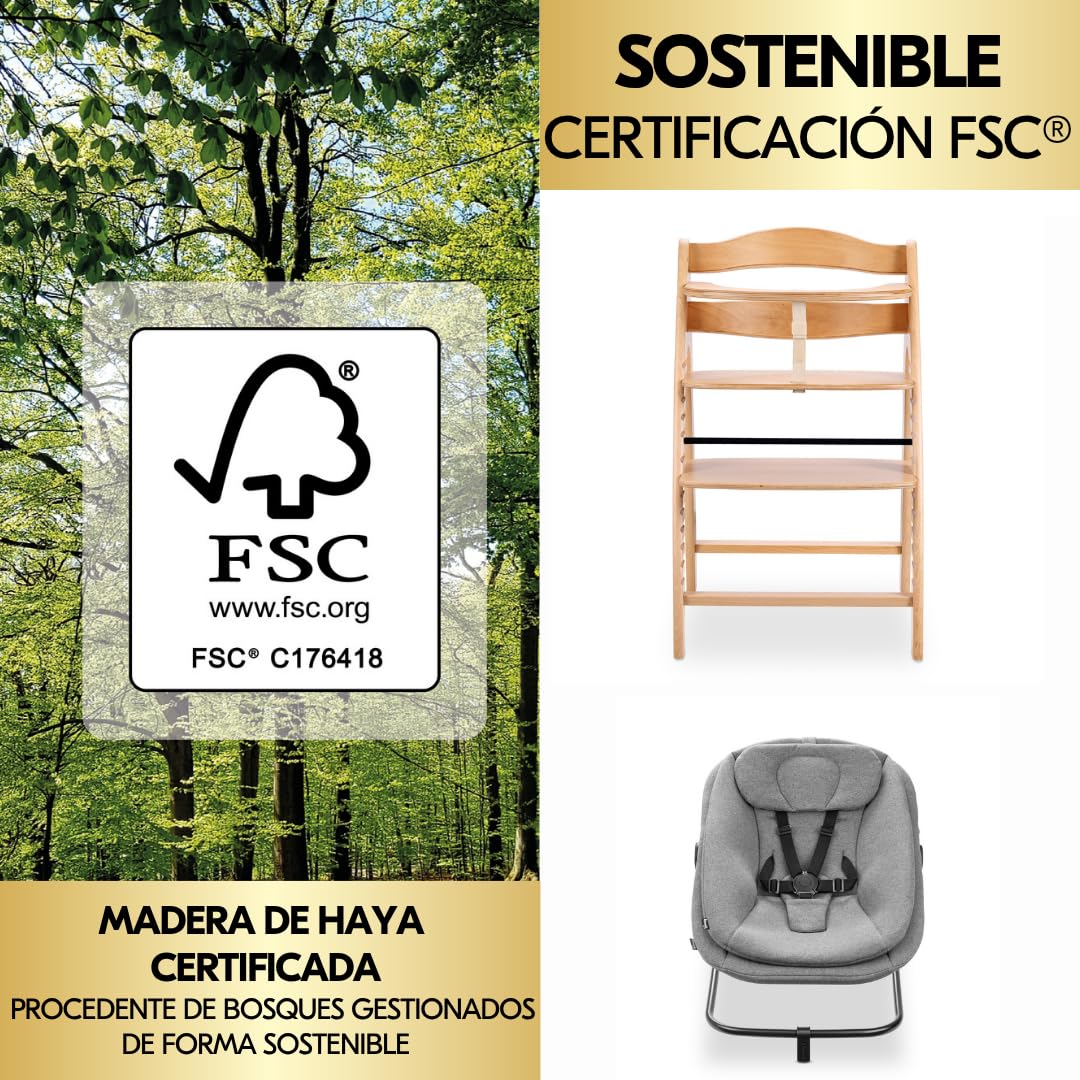 hauck Arketa Newborn Set de Trona de Madera de Haya Europea – Tronas Evolutivas Aptas desde el Nacimiento del Bebé con Accesorios - Hamaca para Recién Nacido y Cojín Incluido - Haya
