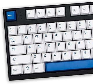 White Blue Keycaps Set 132 Keys Cherry Profile Doubleshot Custom Keycaps for Cherry MX Gateron Kailh Box Switches Mechanical Gaming Keyboard