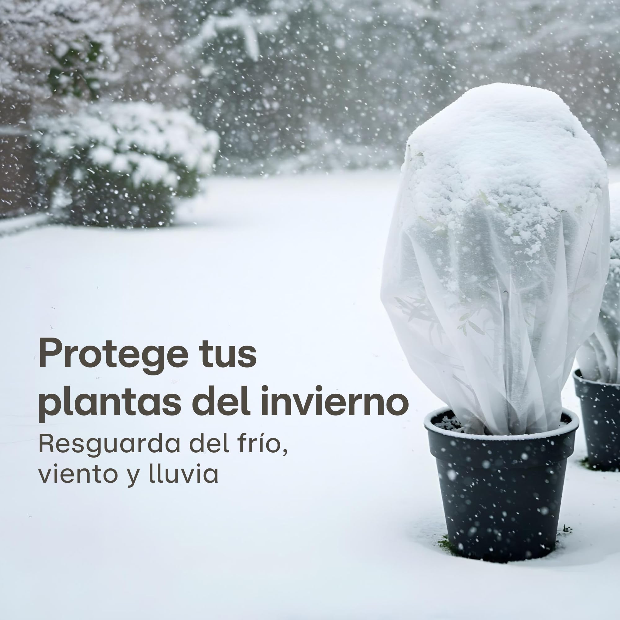 Praknu Manta de Malla Termica Antiheladas para Plantas en Rollo 50 g/m² – 20 m × 1,6 m – Resistente y Transpirable – Resiste a La Exposición UV