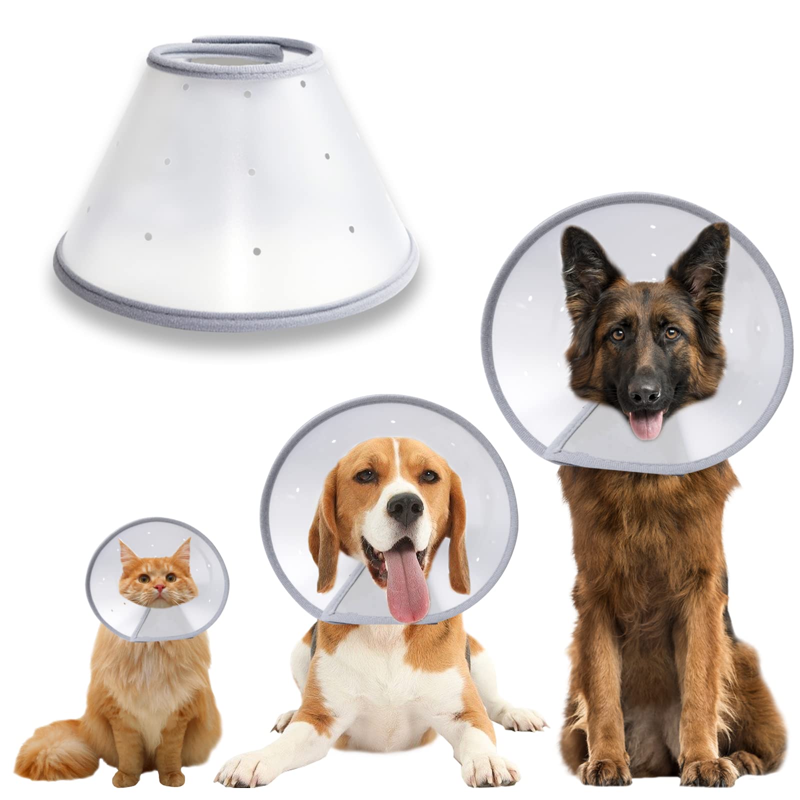 A Dog Licking My Healing Wound Bad